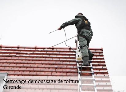 Nettoyage demoussage de toiture