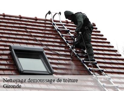 Nettoyage demoussage de toiture