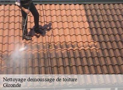 Nettoyage demoussage de toiture