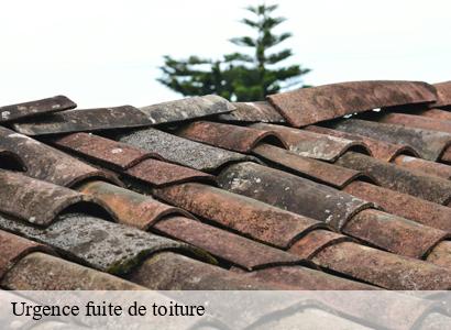 Urgence fuite de toiture