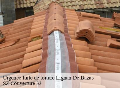 Urgence fuite de toiture