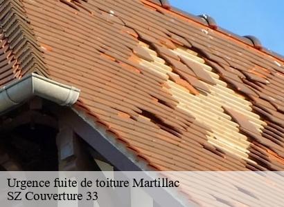 Urgence fuite de toiture