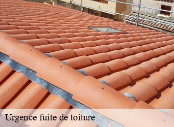 Urgence fuite de toiture