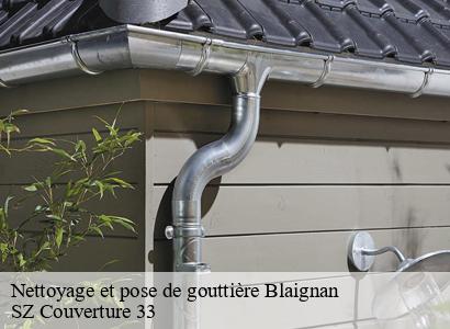Nettoyage et pose de gouttière