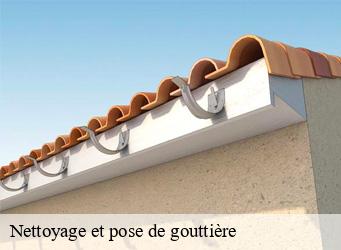 Nettoyage et pose de gouttière