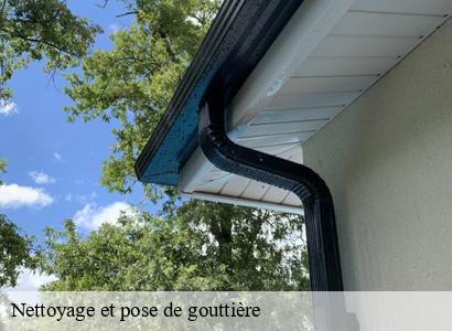 Nettoyage et pose de gouttière