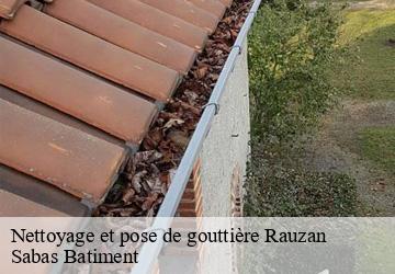 Nettoyage et pose de gouttière