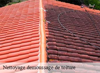 Nettoyage demoussage de toiture