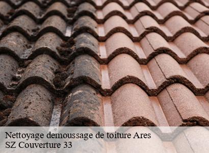 Nettoyage demoussage de toiture