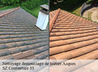 Nettoyage demoussage de toiture
