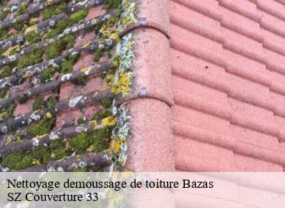 Nettoyage demoussage de toiture