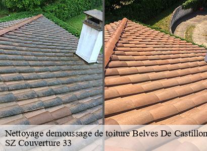 Nettoyage demoussage de toiture