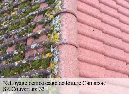 Nettoyage demoussage de toiture