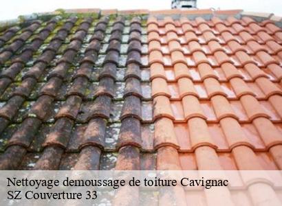 Nettoyage demoussage de toiture