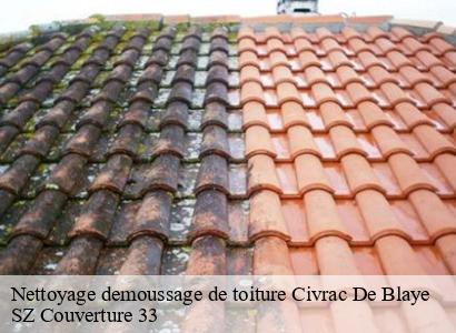 Nettoyage demoussage de toiture