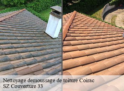 Nettoyage demoussage de toiture