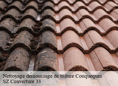 Nettoyage demoussage de toiture