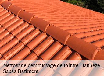 Nettoyage demoussage de toiture