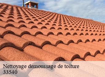 Nettoyage demoussage de toiture