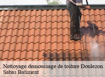 Nettoyage demoussage de toiture