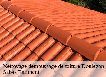 Nettoyage demoussage de toiture