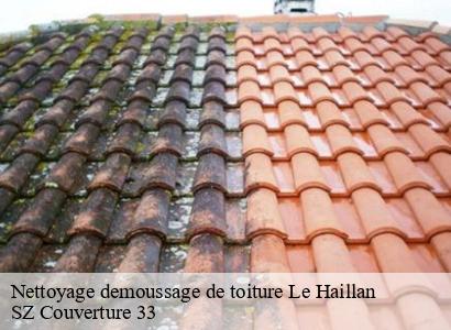 Nettoyage demoussage de toiture