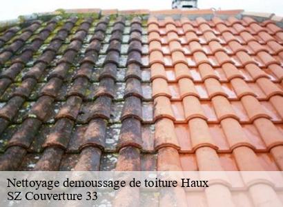 Nettoyage demoussage de toiture