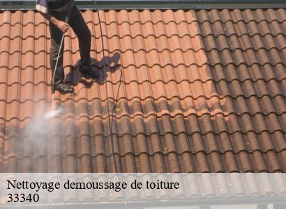 Nettoyage demoussage de toiture