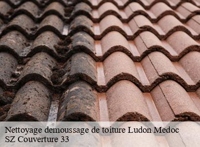 Nettoyage demoussage de toiture