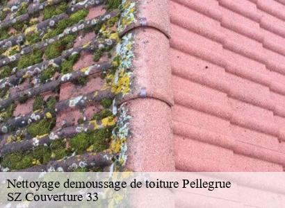 Nettoyage demoussage de toiture