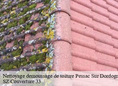 Nettoyage demoussage de toiture