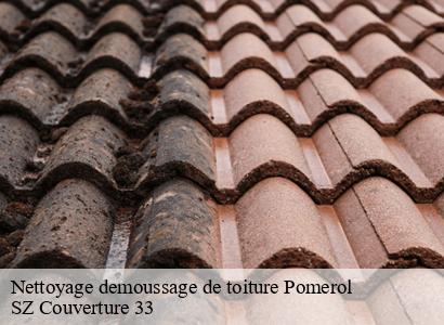 Nettoyage demoussage de toiture