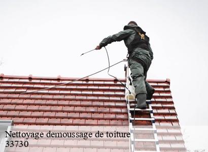 Nettoyage demoussage de toiture