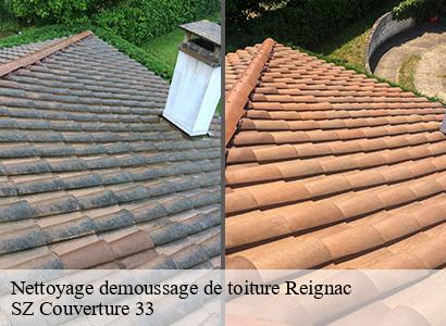 Nettoyage demoussage de toiture