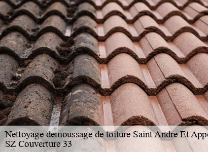 Nettoyage demoussage de toiture