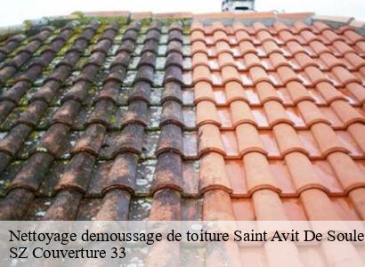 Nettoyage demoussage de toiture