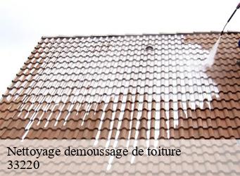 Nettoyage demoussage de toiture