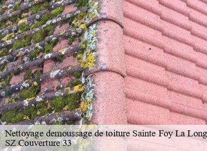 Nettoyage demoussage de toiture