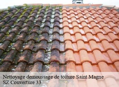 Nettoyage demoussage de toiture