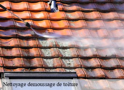 Nettoyage demoussage de toiture