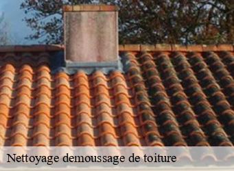 Nettoyage demoussage de toiture