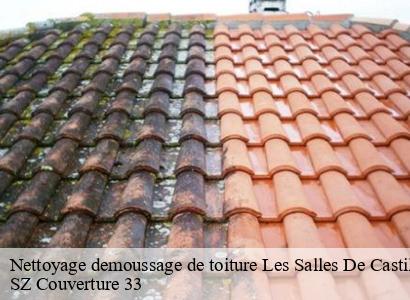 Nettoyage demoussage de toiture