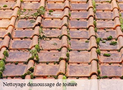 Nettoyage demoussage de toiture