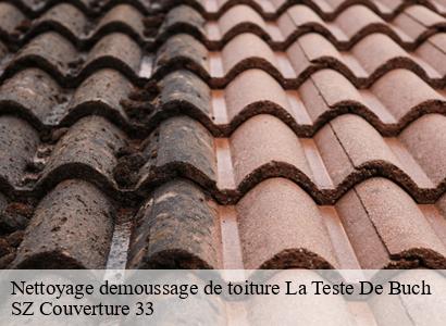 Nettoyage demoussage de toiture