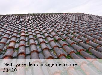 Nettoyage demoussage de toiture